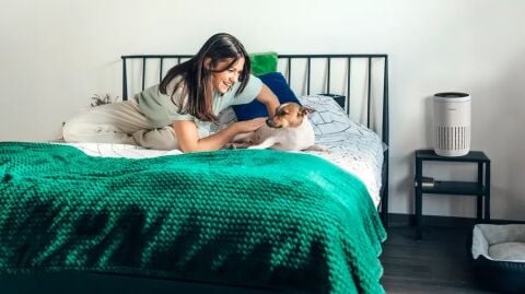 Bosch Air 2000 Beyaz Hava Temizleyici